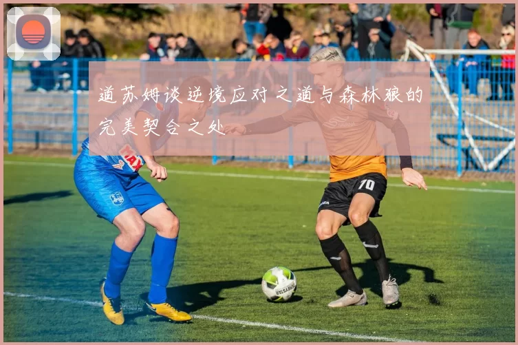道苏姆谈逆境应对之道与森林狼的完美契合之处