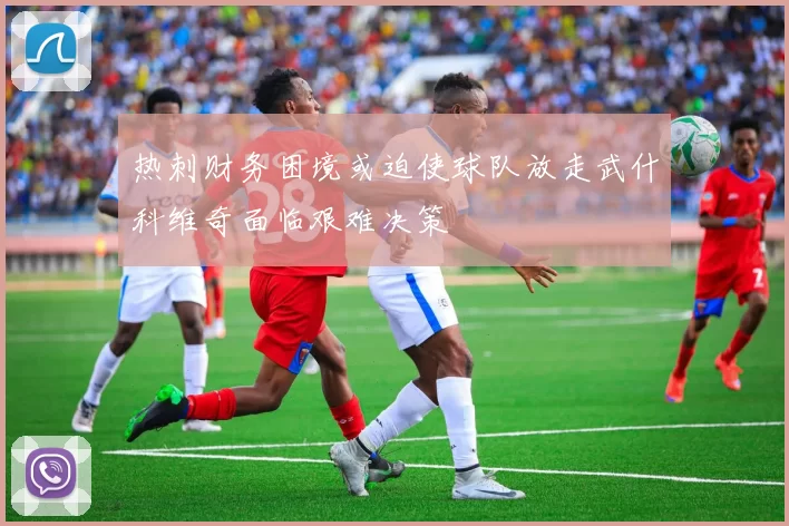 热刺财务困境或迫使球队放走武什科维奇面临艰难决策