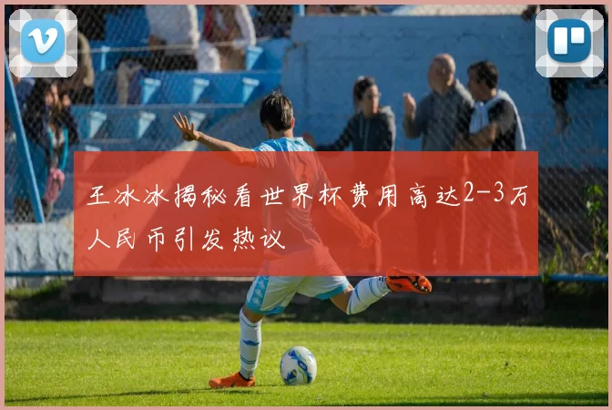 王冰冰揭秘看世界杯费用高达2-3万人民币引发热议